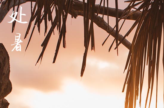 2024年处暑几点 处暑习俗