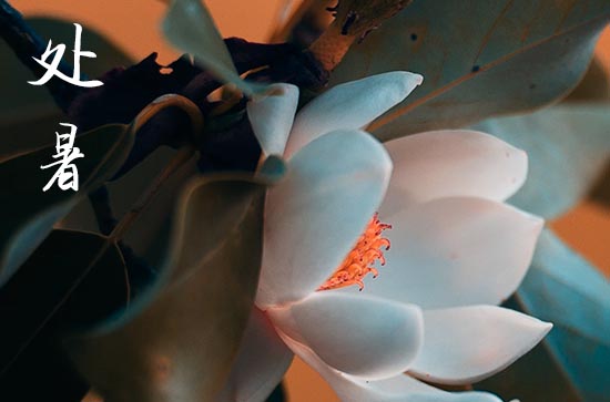 2024年处暑节气是哪个季节