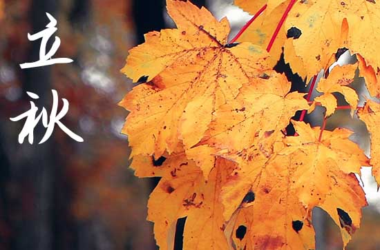 立秋是2024的几月几日几点