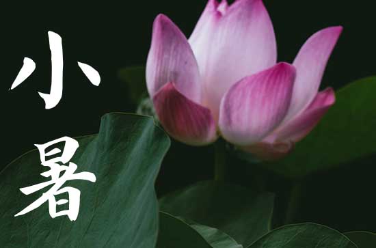 今年小暑是几月几日几点2024