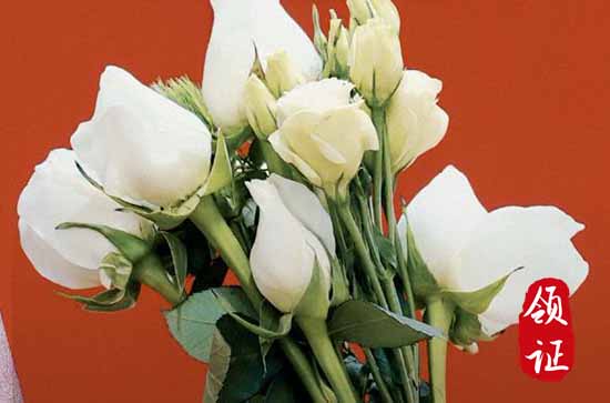 2024年1月24日喝喜酒合适吗 今天不能做哪些事