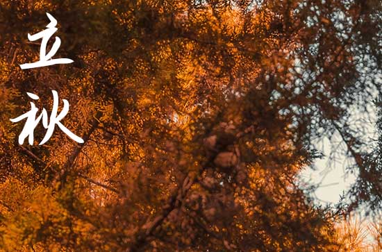 今年立秋是哪天2024