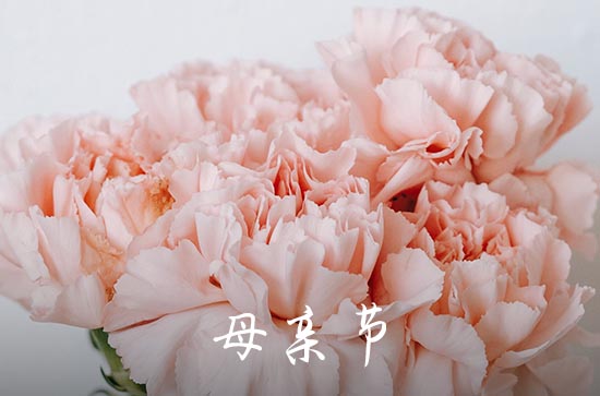 母亲节是五月的第几个星期日 2024母亲节是几月几号