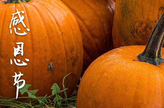 2024年感恩节多少号 2024年感恩节多少号