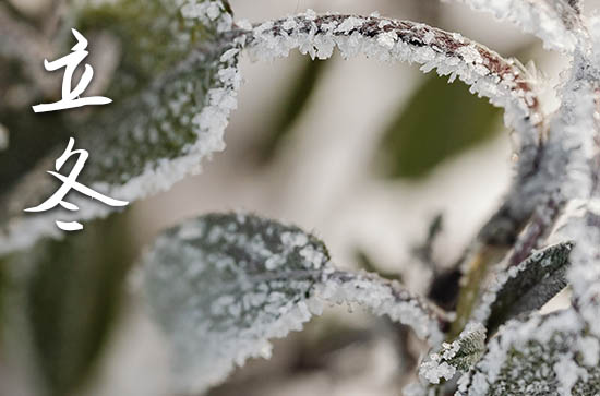 立冬是几月几号2024年 2024年立冬弄装修开工好不好 立冬是几月几号2024年 2024年立冬弄装修开工好不好