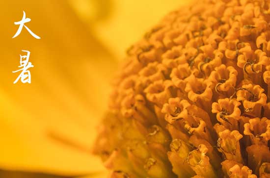 2024年大暑是最热的时候吗 2024年大暑是最热的时候吗