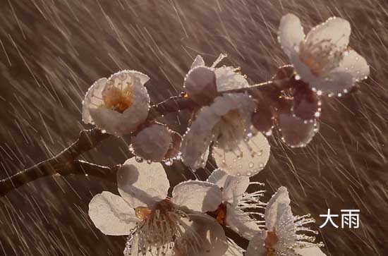 7月4日宿迁会下雨 今日大雨转暴雨温度32℃~25℃