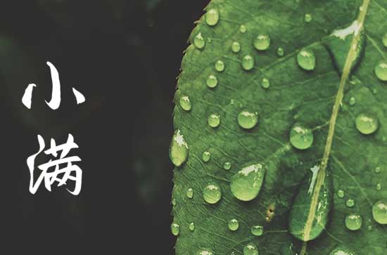 2024年小满时间 几月几日几点几分小满