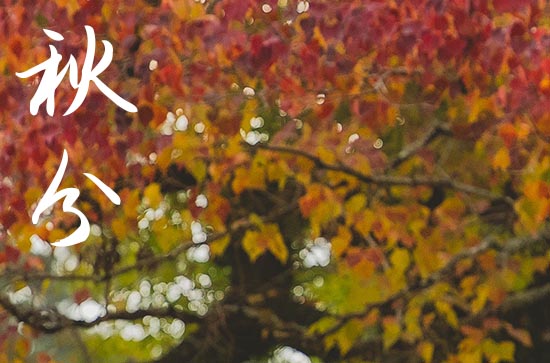 2024年秋分是什么时候 2024年秋分适合乘船吗