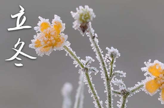 2023年立冬是多少号 2023立冬那天迁居好不好