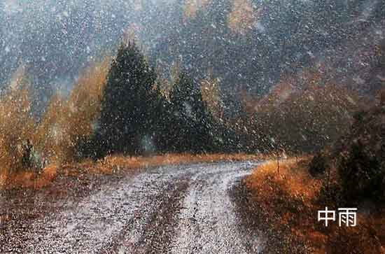 桃园今日天气中雨转小雨 桃园2024年11月10日天气预报