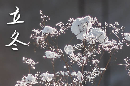 2024年立冬是几点几分 立冬气象变化 2024年立冬是几点几分 立冬气象变化