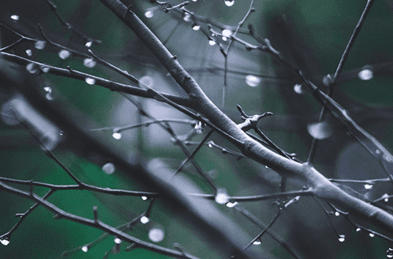                     黑龙江19日雨水上线 夜间雨势增强明天部分地区有大雨                    