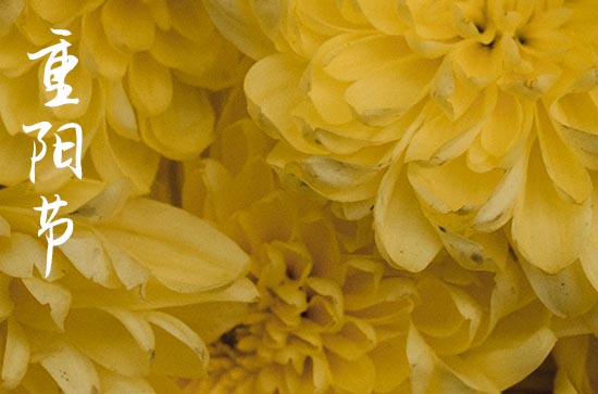 九九重阳节给老人的祝福语 九九重阳节敬老人句子