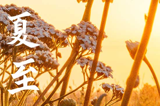 2023年夏至三庚入伏怎么算的