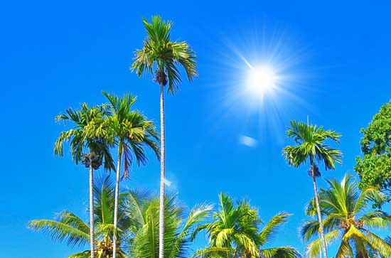 南昌今日天气晴 2024年8月4日南昌天气预报