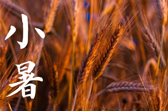 小暑节气的寓意和传统美食 小暑节气的朋友圈文案
