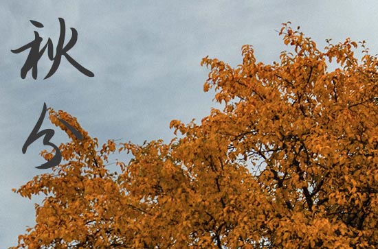 秋分节气祝福句子（精选40句）