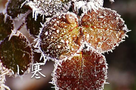 2024小寒送祝福短信30句精选