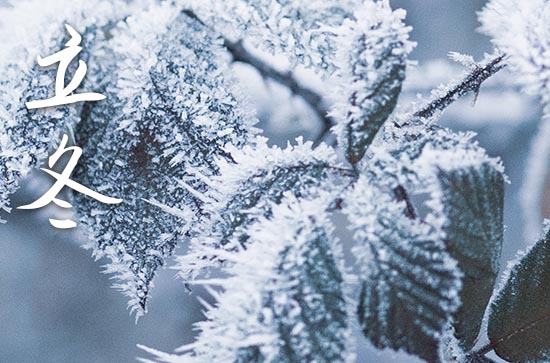 冬至和立冬有区别吗 冬至和立冬有区别吗