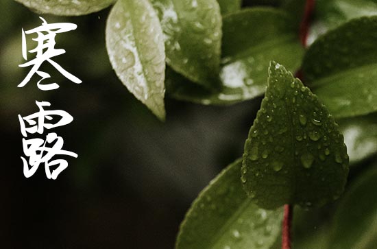 “寒露初一前，单衣过寒冬”,2024年寒露在初一前吗？