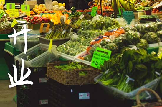 农历九月属狗店铺开张黄道吉日查询 2024年属狗农历九月最佳的店铺开张吉日