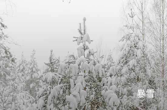 山东2023年12月19日有暴雪大部地区最高温0℃左右 青岛未来三天天气预报