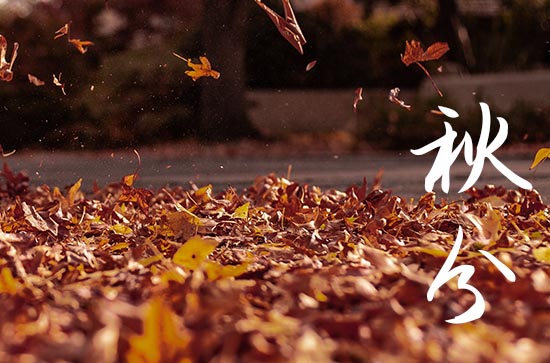 2024年秋分是几点几分几秒 2024秋分做买卖好吗