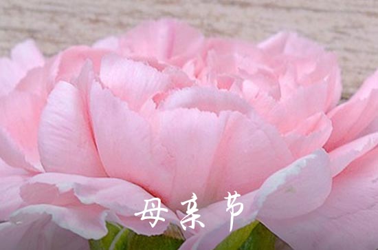 母亲节感恩母亲温暖祝福语 母亲节感恩母亲温暖说说