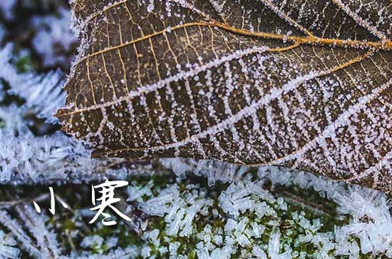 2025年小寒吃什么风俗食物北方