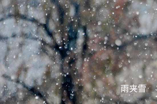 浙江2023年12月19日雨雪持续明起气温下降至冰点 杭州未来三天天气预报