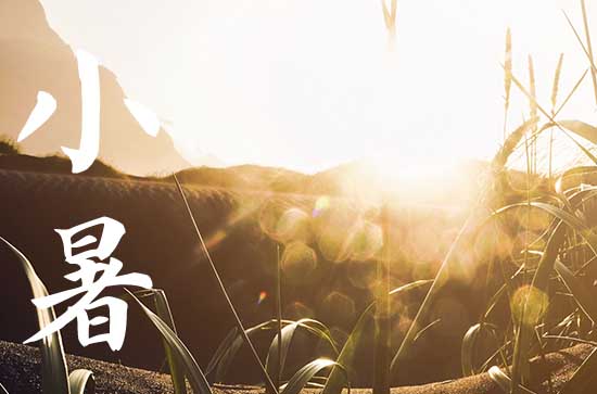 小暑大暑上蒸下煮什么意思 小暑和大暑有什么区别 小暑大暑上蒸下煮什么意思 小暑和大暑有什么区别