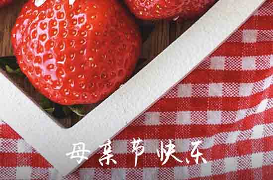 母亲节送花祝福语(100句)