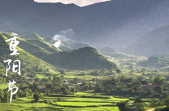 重阳节的古诗词 重阳节的诗词经典 重阳节的古诗词 重阳节的诗词经典