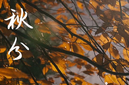 2024秋分祝福语 最新搞怪祝福语 2024秋分祝福语 最新搞怪祝福语