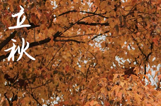 2024年立秋后会凉快吗?立秋后还会有高温天气吗？