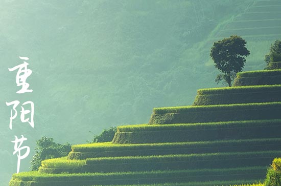 重阳节文案寄语(203句)