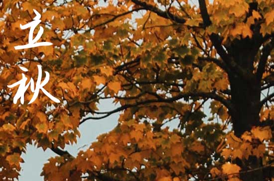 2024年什么时间立秋 2024年什么时间立秋
