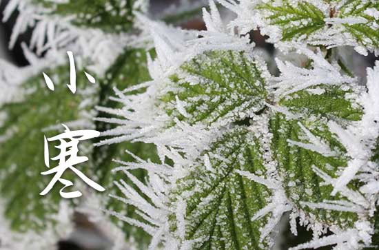 2025小寒是几月几号几点几分