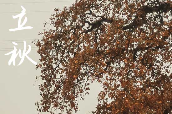 今天几点立秋2024 立秋后会凉快吗