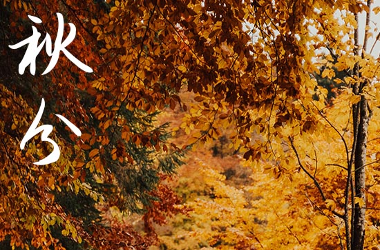 2024年几时几分进入秋分 秋分习俗 2024年几时几分进入秋分 秋分习俗