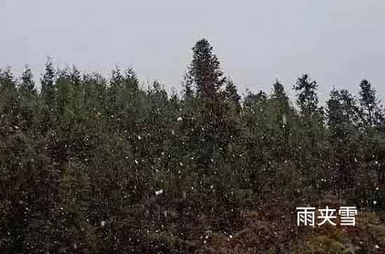 忻州今日天气如何 2024年11月13日今日黄历