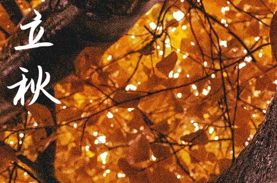 2024年立秋是秋天了吗