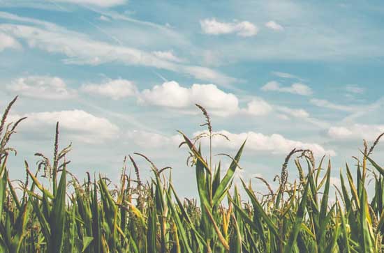 宿迁6月7日天气预报:高温26℃~低温21℃，多云转阴，不会下雨