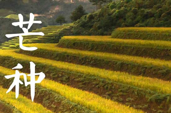 2023年芒种是几点几分