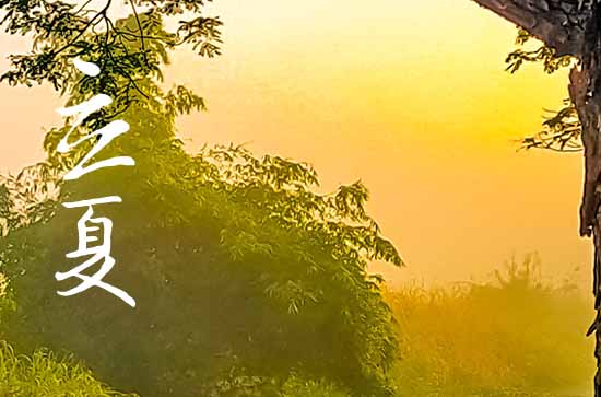 2024年立夏是哪一天 2024年5月5日立夏这天适合纳婿吗
