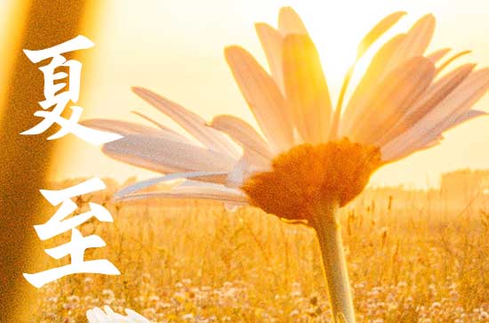 今年的夏至是哪一天2024