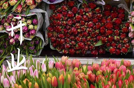 2024属猪农历十月开业吉日一览表 2024农历十月属猪开业吉日