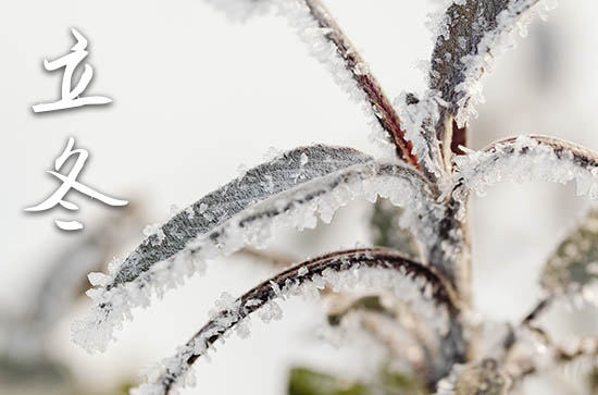 立冬是几月几号2024年 2024立冬当天可以装修开工吗