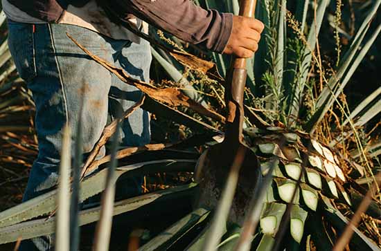 2023劳动节倒计时日历 距离2023劳动节还有多少天 2023劳动节倒计时日历 距离2023劳动节还有多少天